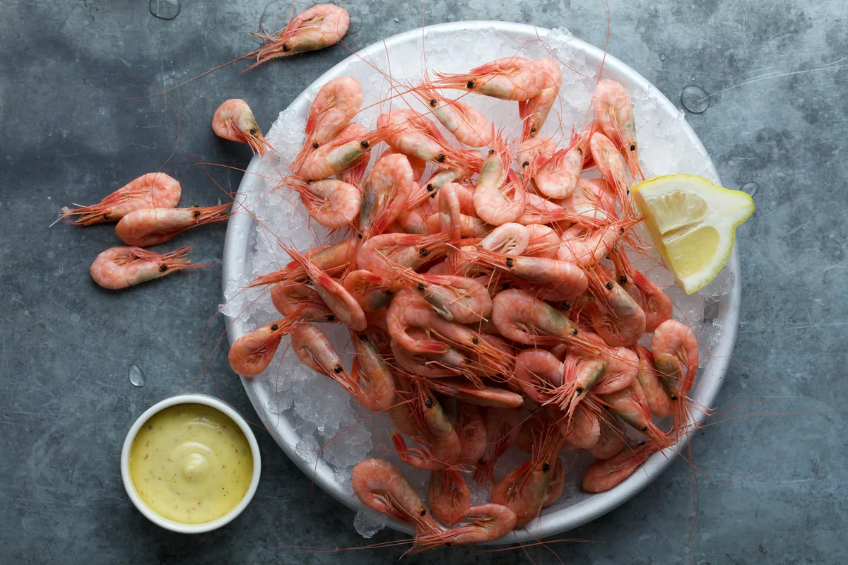 Shrimp on ice in a dish with a lemon wedge and a bowl of sauce